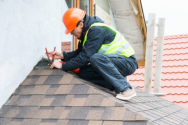 Best Roof Gutter Cleaning  in Aldine, TX